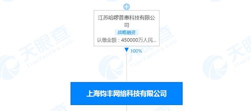 哈啰出行關(guān)聯(lián)公司注冊(cè)資本激增50%，彰顯戰(zhàn)略布局與業(yè)務(wù)擴(kuò)展雄心